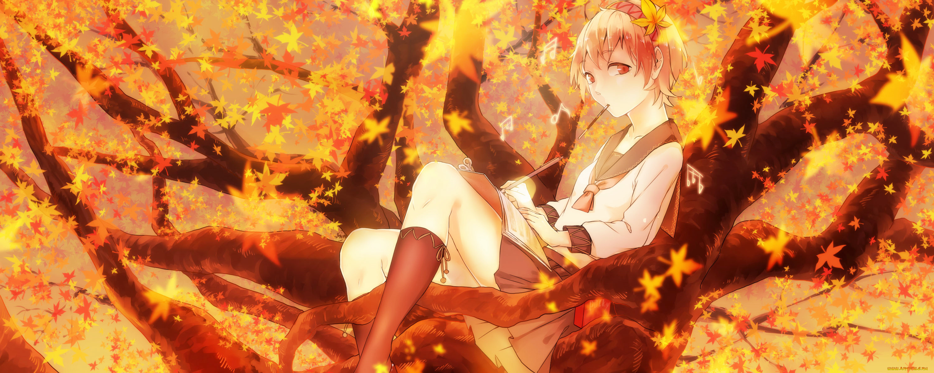 , touhou, 